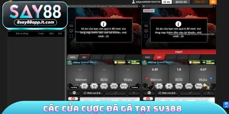 Các cửa cược đá gà tại SV388