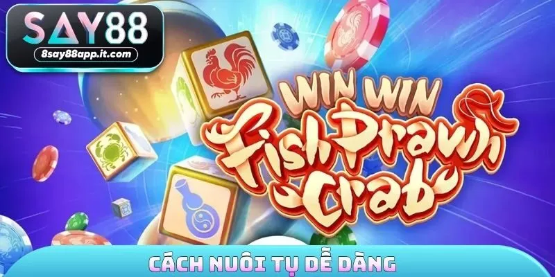 Cách nuôi tụ dễ dàng