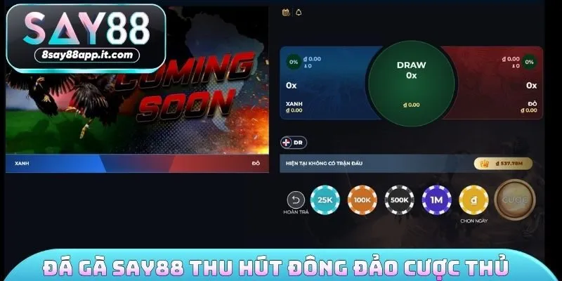 Đá gà SAY88 thu hút đông đảo cược thủ mỗi ngày