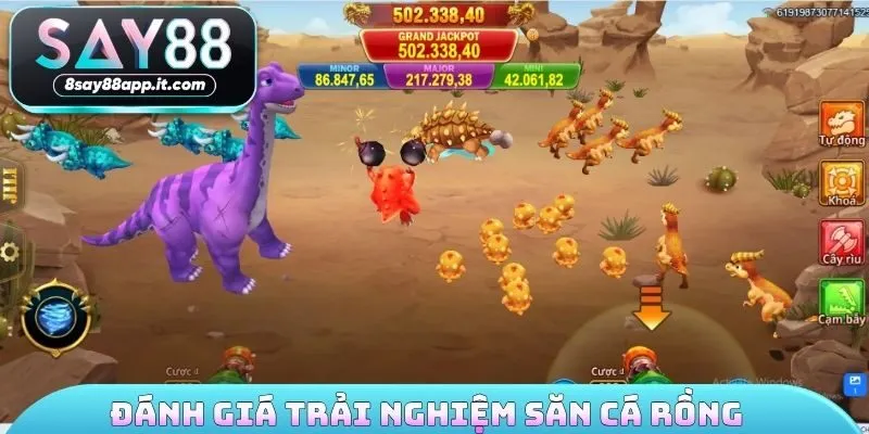 Đánh giá trải nghiệm săn cá rồng