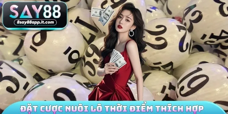 Đặt cược nuôi lô trong thời điểm thích hợp