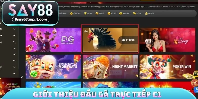 Giới thiệu đấu gà trực tiếp C1