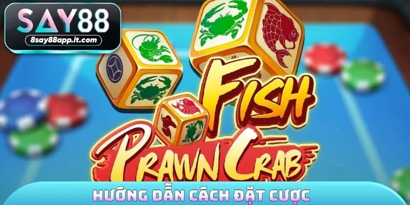 Hướng dẫn cách đặt cược
