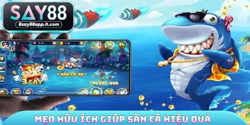Mẹo hữu ích giúp săn cá hiệu quả