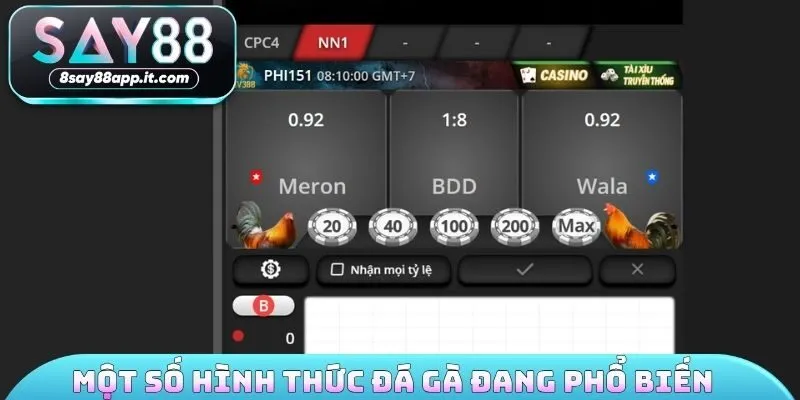 Một số hình thức đá gà hiện đang phổ biến