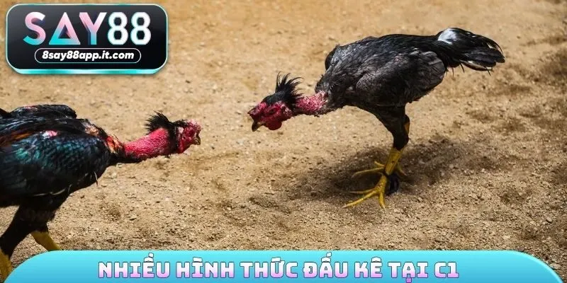 Nhiều hình thức đấu kê tại C1