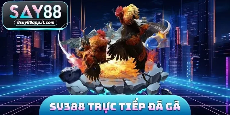 Sv388 Trực Tiếp Đá Gà